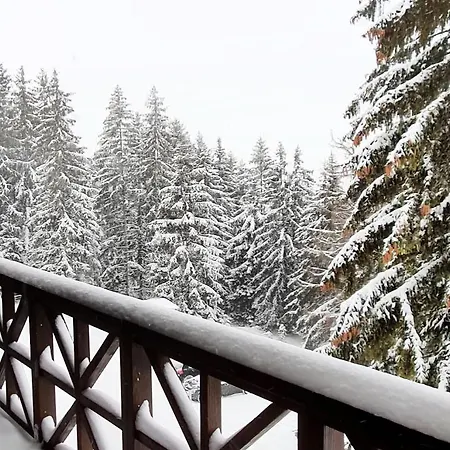 Pansion Carolija Vlasic *