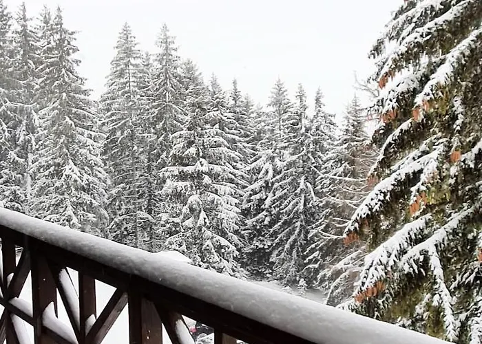 Pansion Carolija Vlasic *